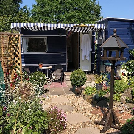 Down The Garden Path Vintage Caravan B&B , Dartmoor 牛顿阿伯特 外观 照片
