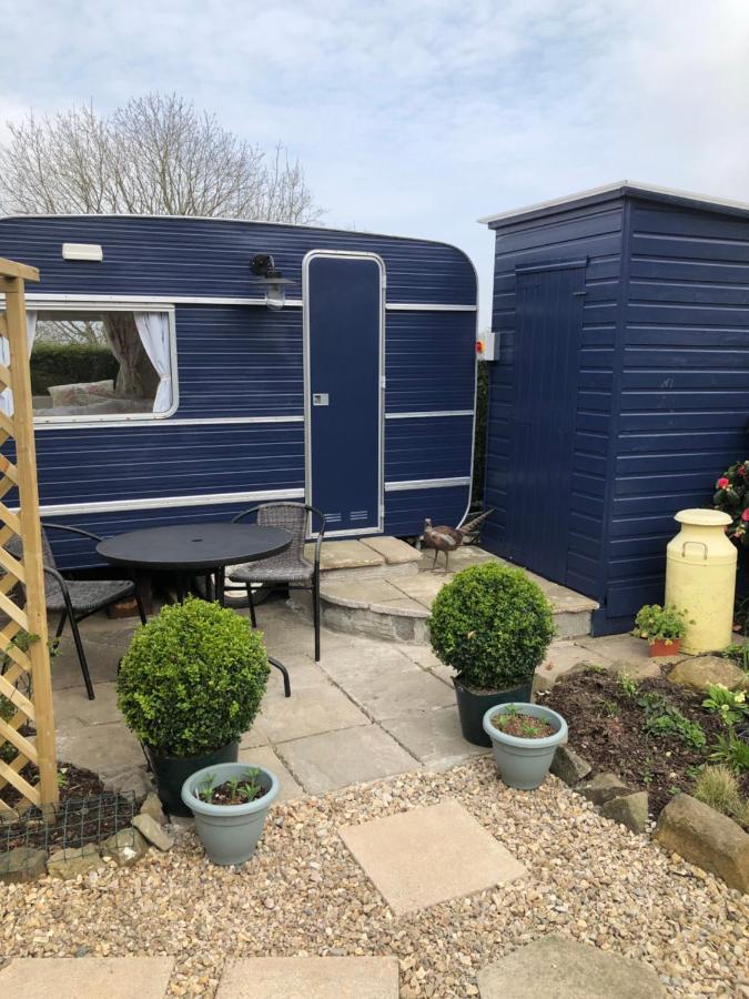 Down The Garden Path Vintage Caravan B&B , Dartmoor 牛顿阿伯特 外观 照片
