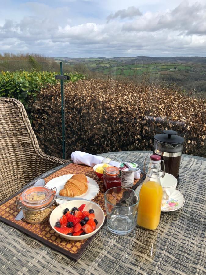 Down The Garden Path Vintage Caravan B&B , Dartmoor 牛顿阿伯特 外观 照片