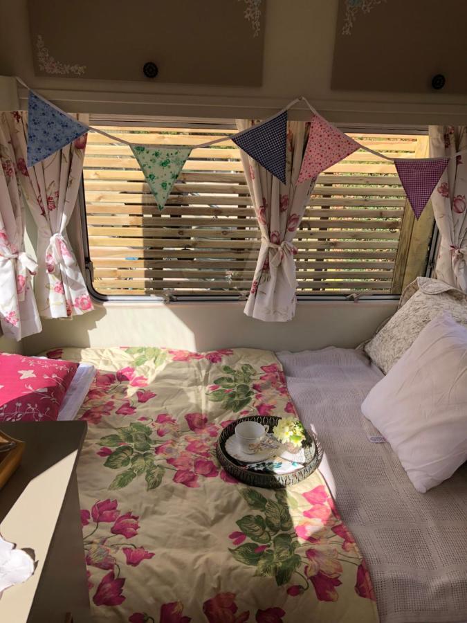 Down The Garden Path Vintage Caravan B&B , Dartmoor 牛顿阿伯特 外观 照片