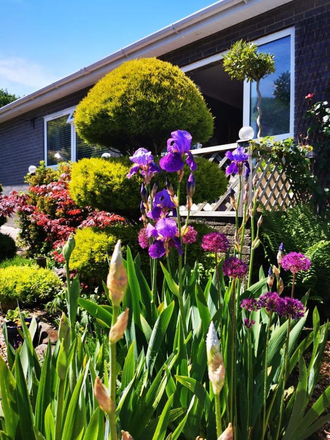 Down The Garden Path Vintage Caravan B&B , Dartmoor 牛顿阿伯特 外观 照片