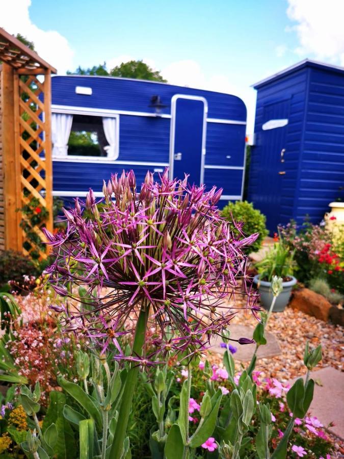 Down The Garden Path Vintage Caravan B&B , Dartmoor 牛顿阿伯特 外观 照片