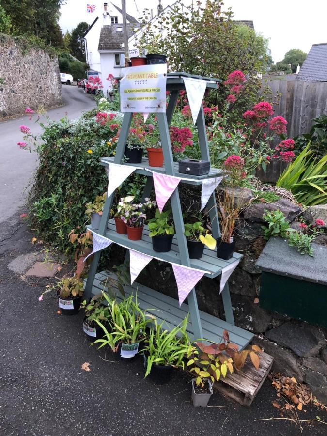 Down The Garden Path Vintage Caravan B&B , Dartmoor 牛顿阿伯特 外观 照片
