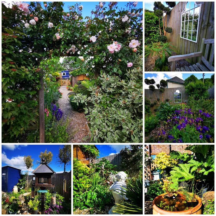 Down The Garden Path Vintage Caravan B&B , Dartmoor 牛顿阿伯特 外观 照片
